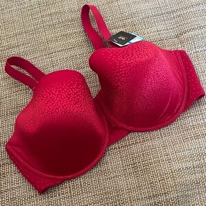 Wacoal Lightly Padded Bra Size 42DDD NWT
